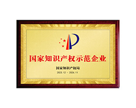 國家知識產(chǎn)權示范企業(yè)