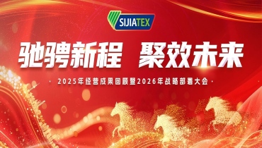 馳騁新程 聚效未來 | 思嘉集團(tuán)經(jīng)營成果回顧及戰(zhàn)略部署大會